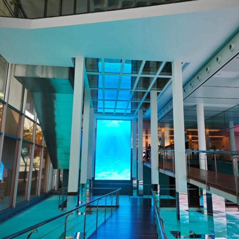 Captura de pantalla 2025-05-27 095403