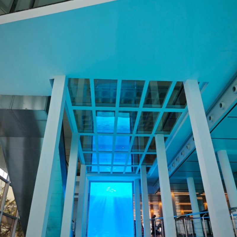 Captura de pantalla 2025-05-27 095423